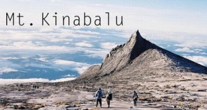 kinabalu_kashiwa