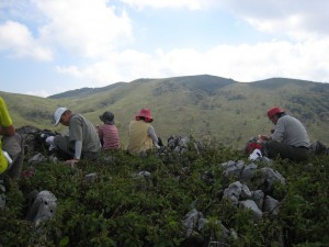 カレンフェルトが散在する山頂台地に「飛び出」ました。雄大な景色が広がります。