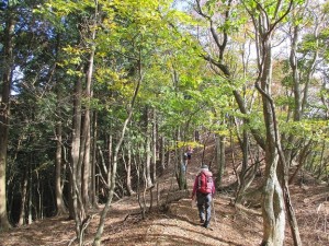 快適なT字尾根を歩く