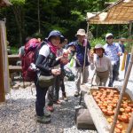 わさび平小屋、冷えたトマトをパクリ