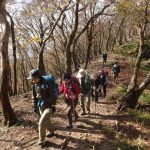 峠分岐から静ヶ岳までは紅葉を見ながら静かな道を気持ちよく歩く！